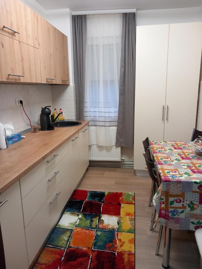 New Apart Apartman Făgăraş Kültér fotó