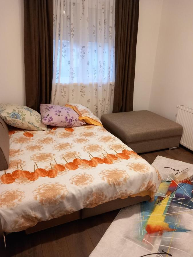 New Apart Apartman Făgăraş Kültér fotó