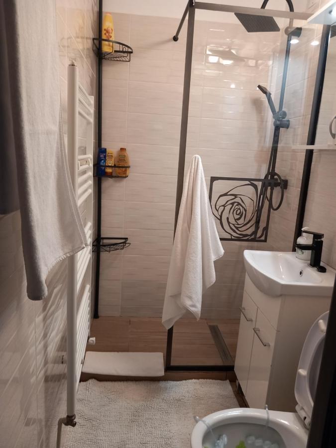 New Apart Apartman Făgăraş Kültér fotó
