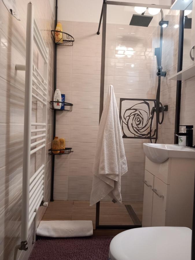 New Apart Apartman Făgăraş Kültér fotó